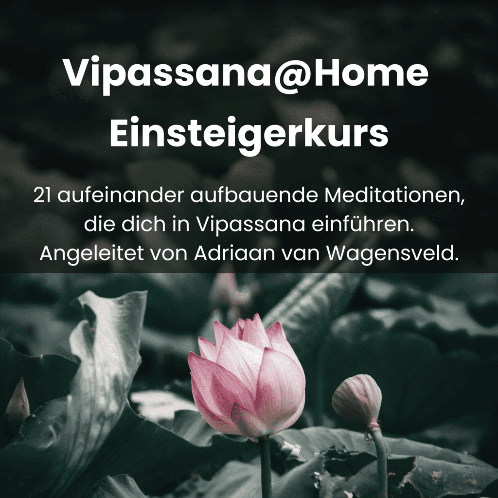 In 21 Tagen Vipassana Meditation lernen