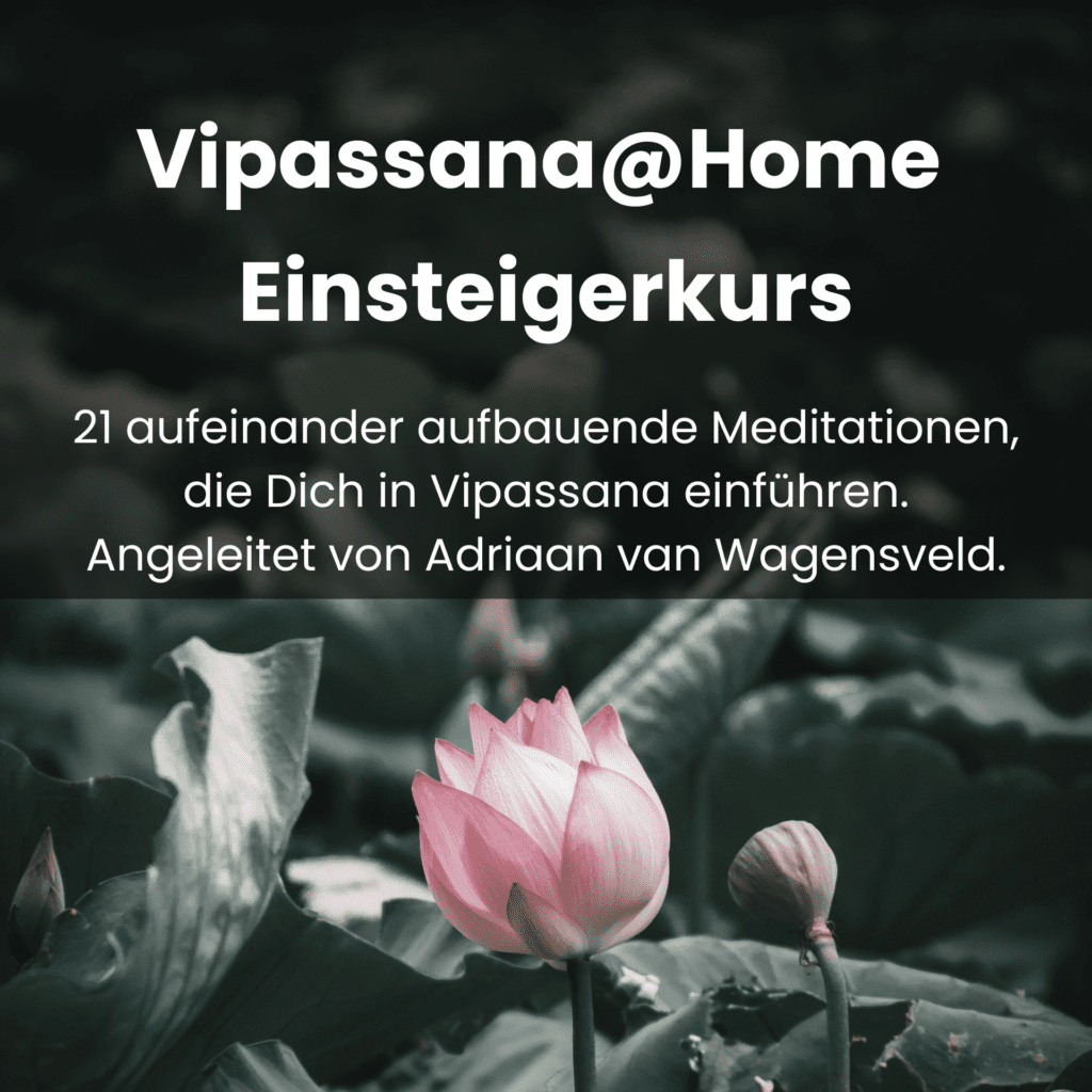 Vipassana Meditation Einsteigerkurs in 21 Tagen