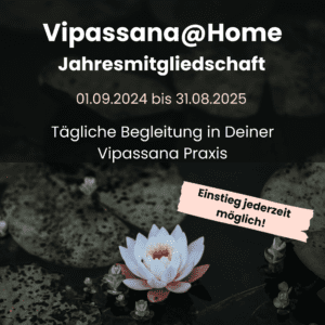 Vipassana@Home für ein Jahr