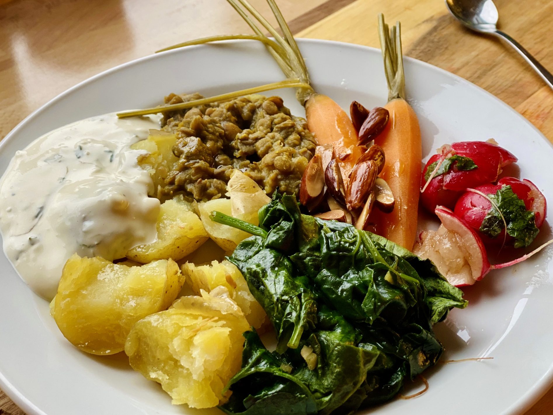 Mahlzeit beim Vipassana Retreat mit Linsendal, Kartoffeln, Gemüse und Dip