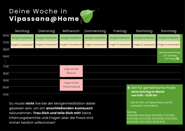 Deine Woche in Vipassana@Home