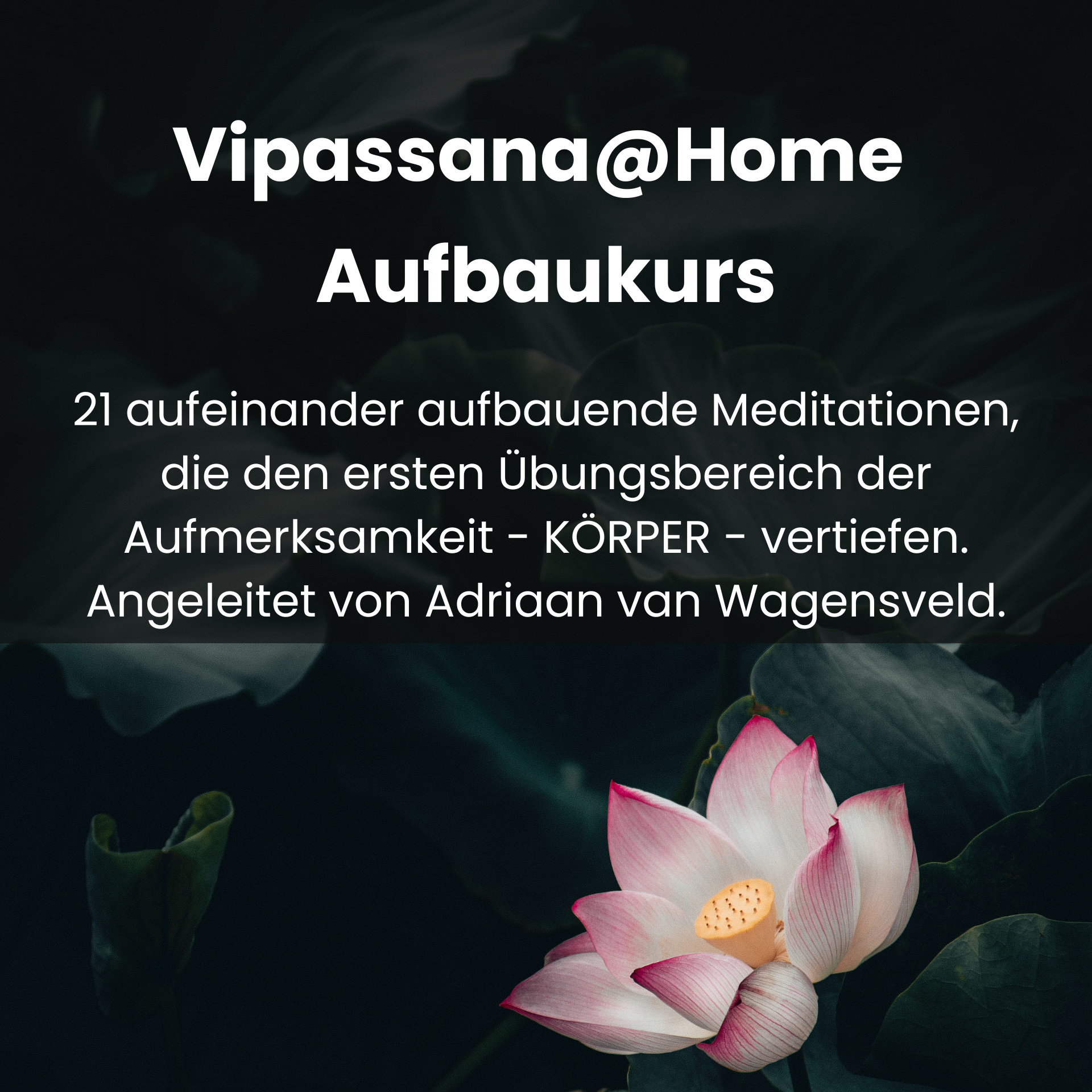 Vipassana@Home Aufbaukurs